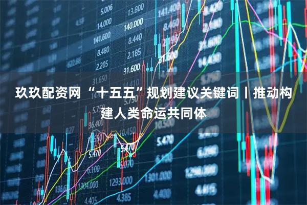 玖玖配资网 “十五五”规划建议关键词丨推动构建人类命运共同体