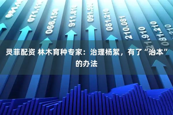 灵菲配资 林木育种专家：治理杨絮，有了“治本”的办法