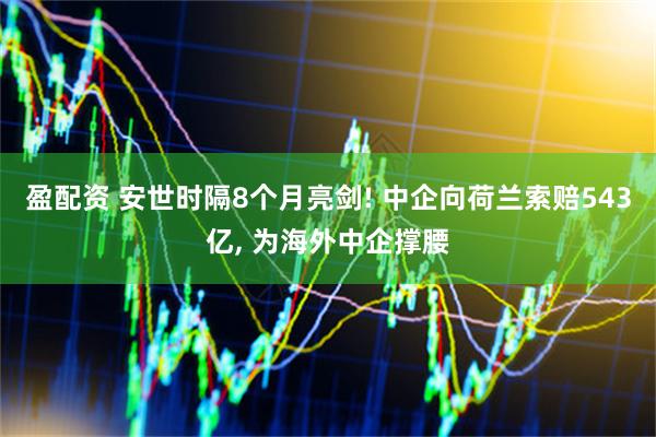 盈配资 安世时隔8个月亮剑! 中企向荷兰索赔543亿, 为海外中企撑腰