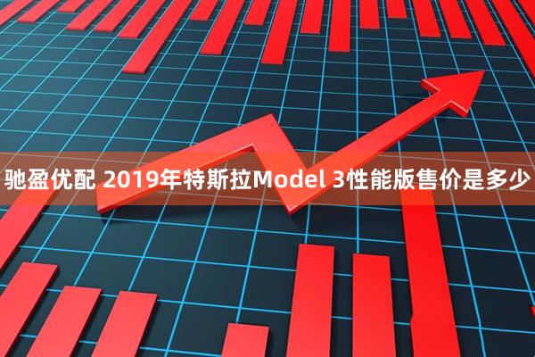 驰盈优配 2019年特斯拉Model 3性能版售价是多少