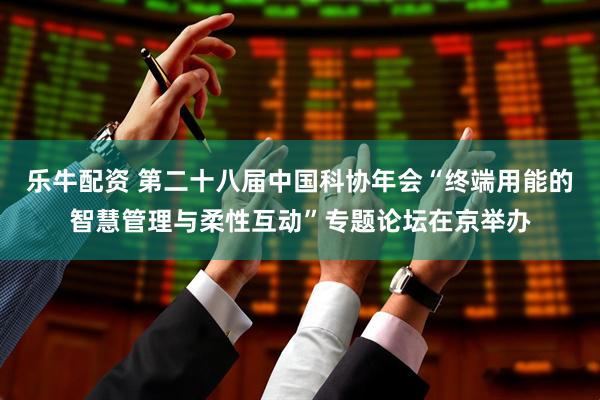 乐牛配资 第二十八届中国科协年会“终端用能的智慧管理与柔性互动”专题论坛在京举办