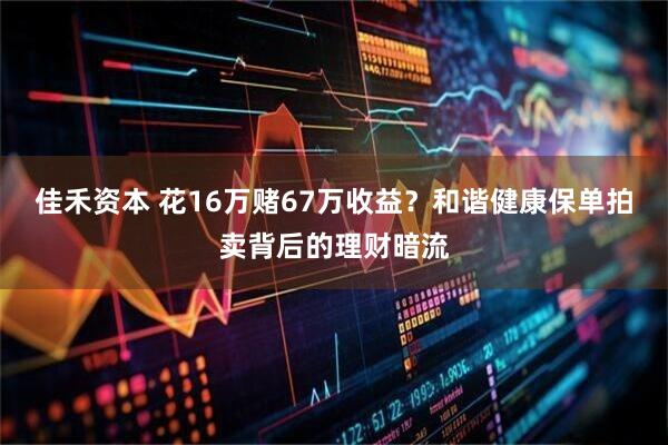 佳禾资本 花16万赌67万收益？和谐健康保单拍卖背后的理财暗流